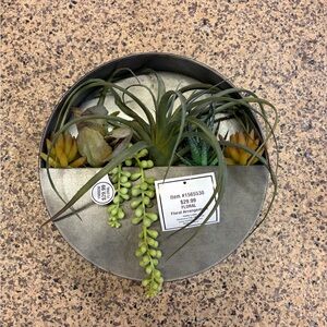 Round Succulent Floral Arrangement